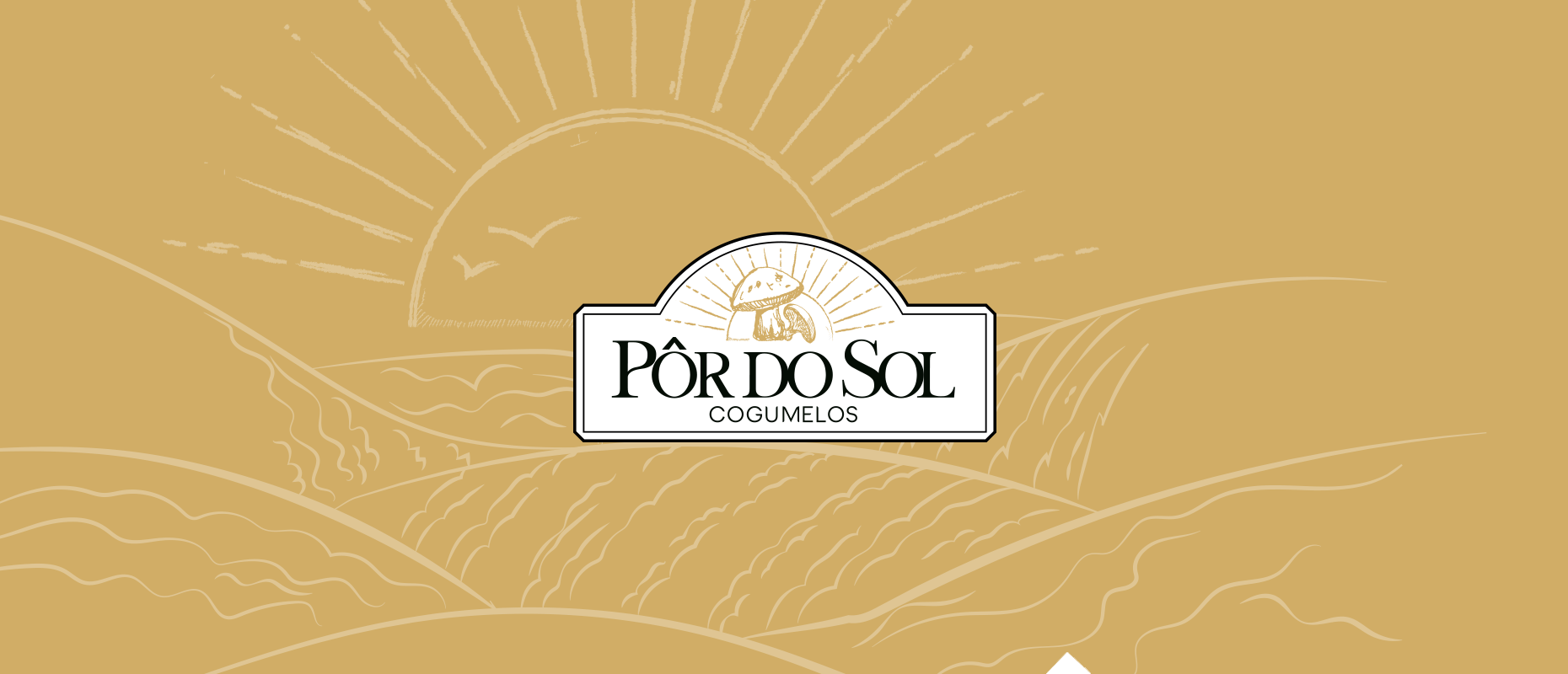 Pr do Sol Cogumelos
